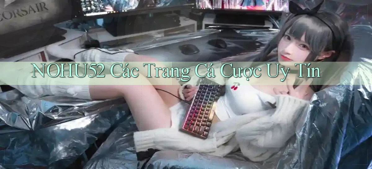 nohu52  các trang cá cược uy tín