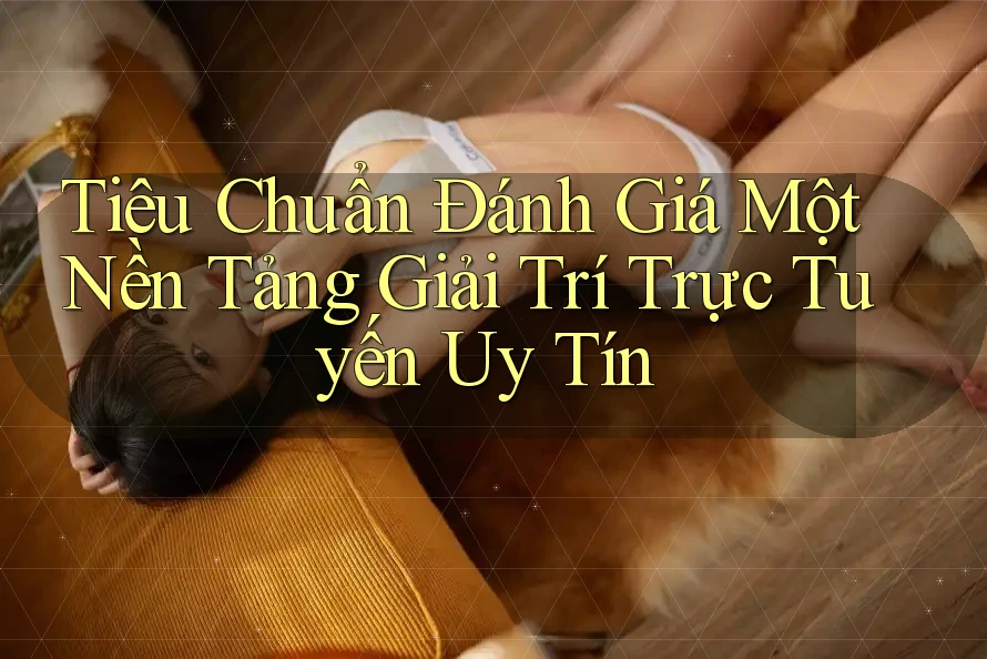 Tiêu Chuẩn Đánh Giá Một Nền Tảng Giải Trí Trực Tuyến Uy Tín